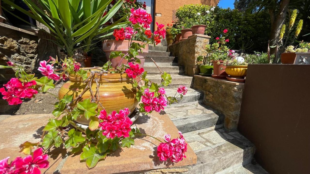 Bellavista Villa Бегур Екстериор снимка